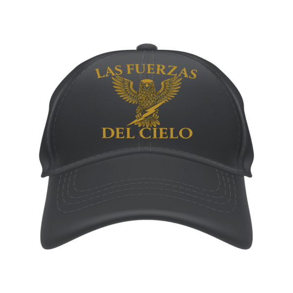 Gorra Fuerzas del Cielo 1