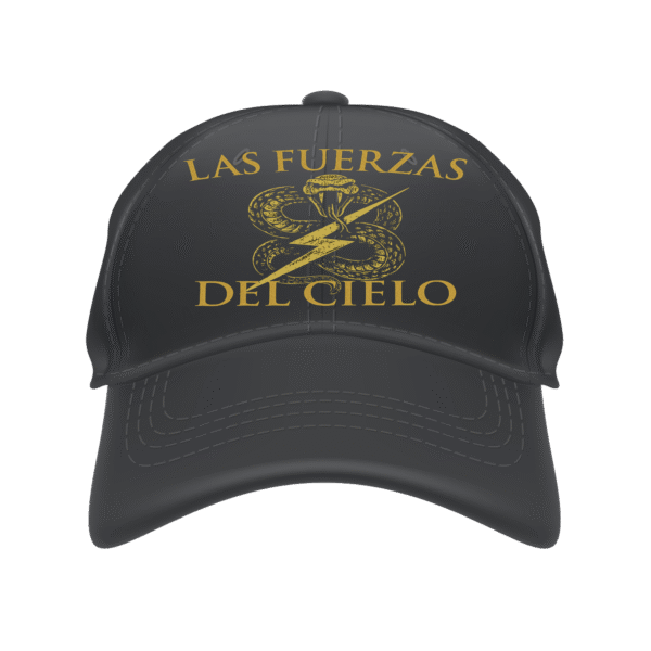 Gorra Fuerzas del Cielo 2