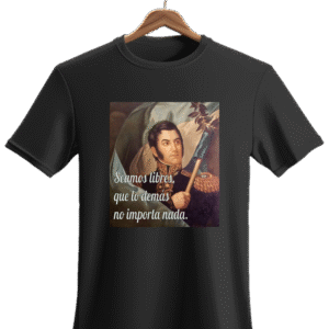 Remera San Martín 1